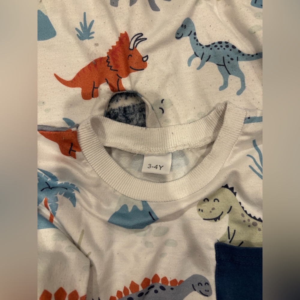 KIDS DINOSAUR MATCHING SET - Picture 3 of 3